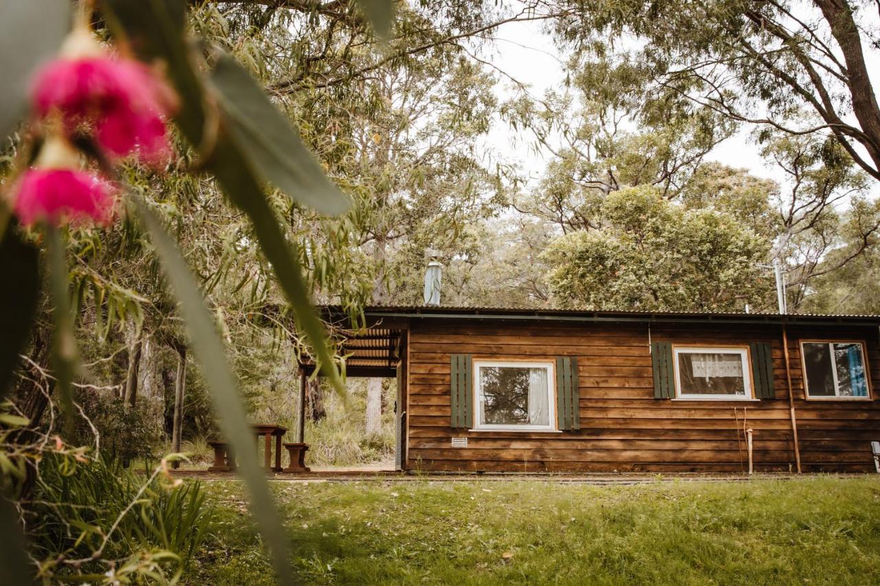 Gum Grove Chalets Denmark Exterior foto