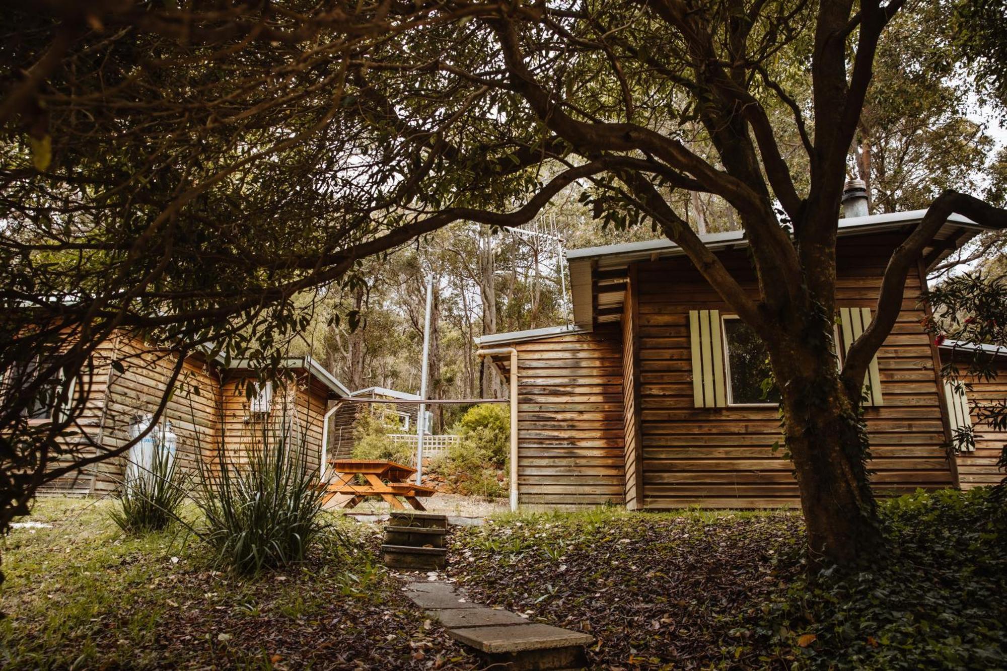 Gum Grove Chalets Denmark Zimmer foto